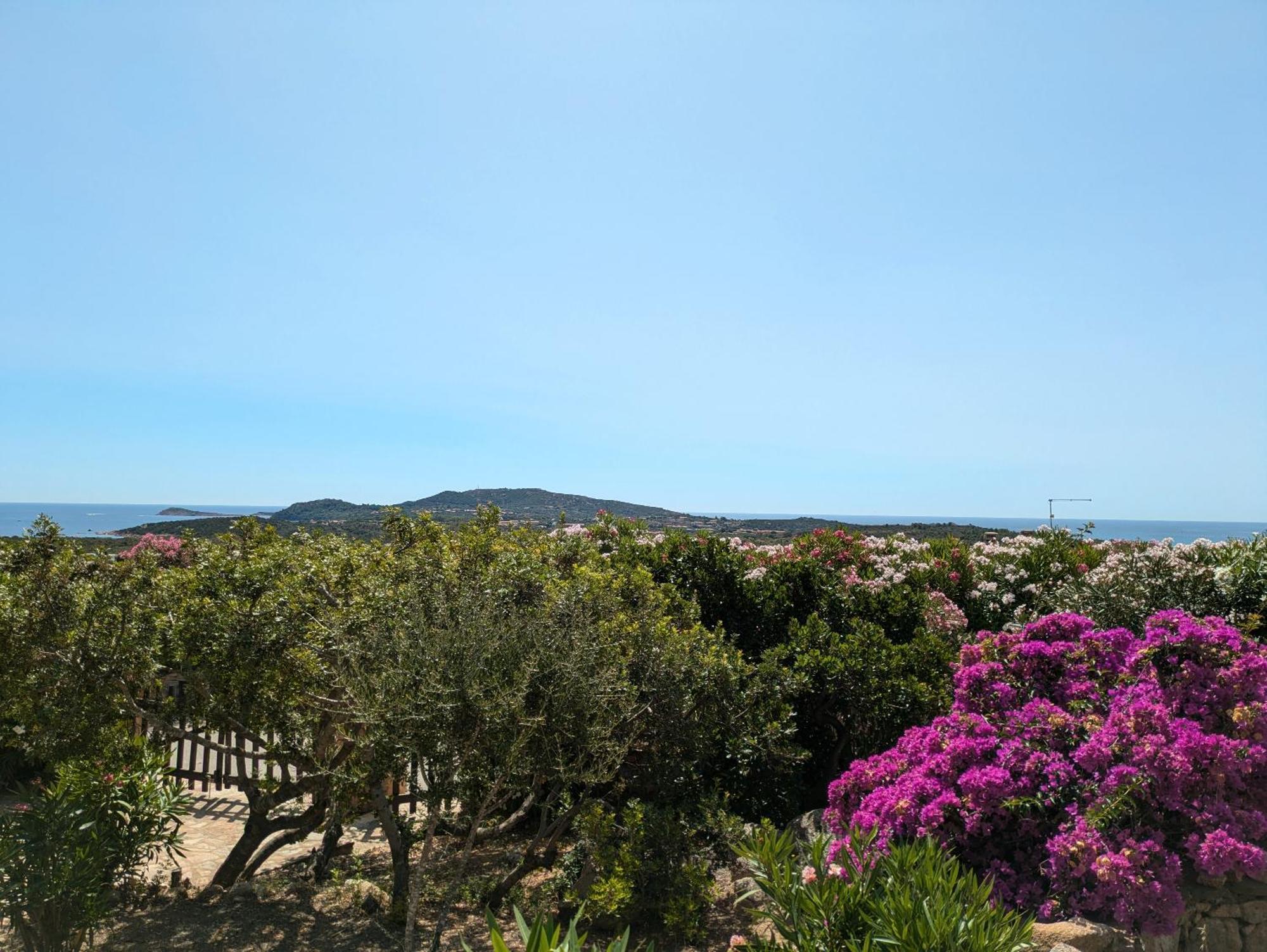 Villa Vista Mare Cala Ginepro Punta Molara Buitenkant foto